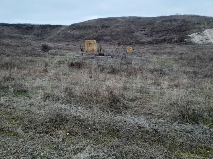 Участок 8 сот. (ИЖС)