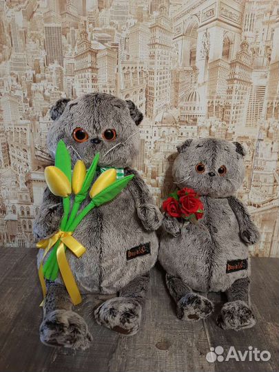 Кот Басик