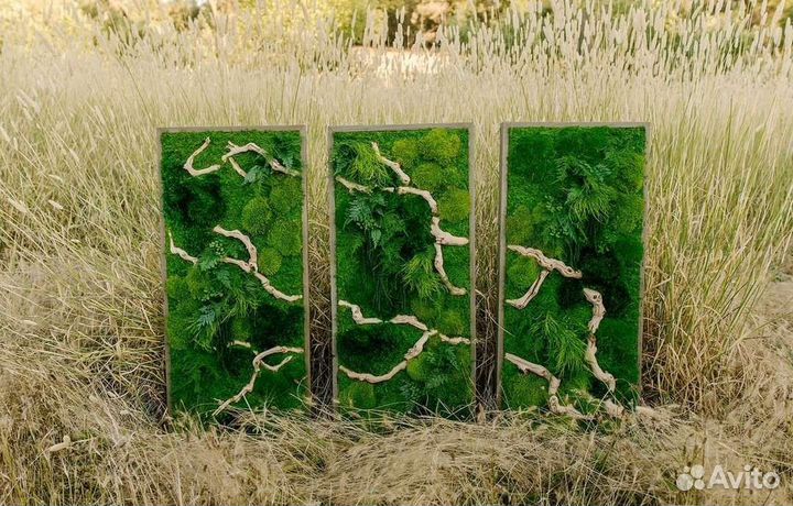 Фитокартина панно из мха мох стабилизированный