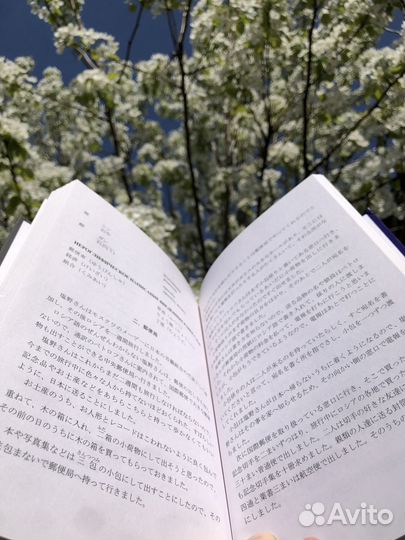 Японский язык