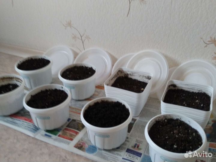 Горшочки для цветоа