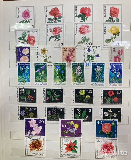 Почтовые марки СССР