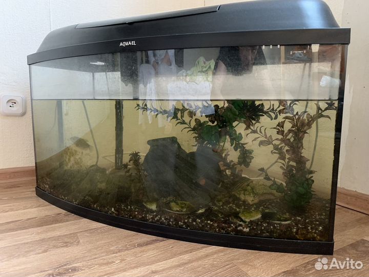 Аквариум на 60 литров
