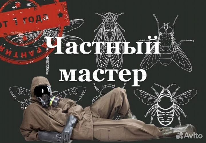 Дезинсекция. Уничтожение тараканов, муравьев