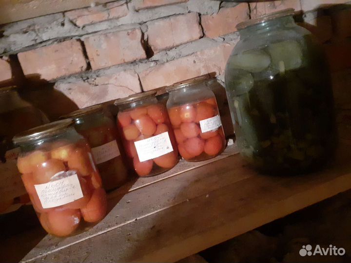 Соленые помидоры
