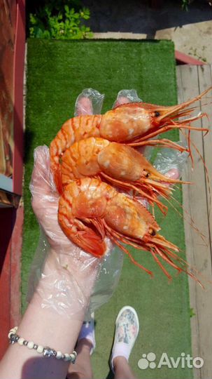 Морепродукты. Парной краб.Парной гребешок.Креветка