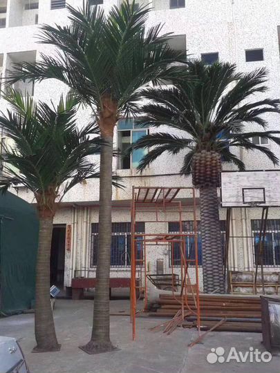 Искусственная пальма