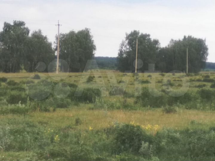 Участок 610 га (СНТ, ДНП)