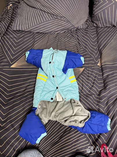 Одежда для собак