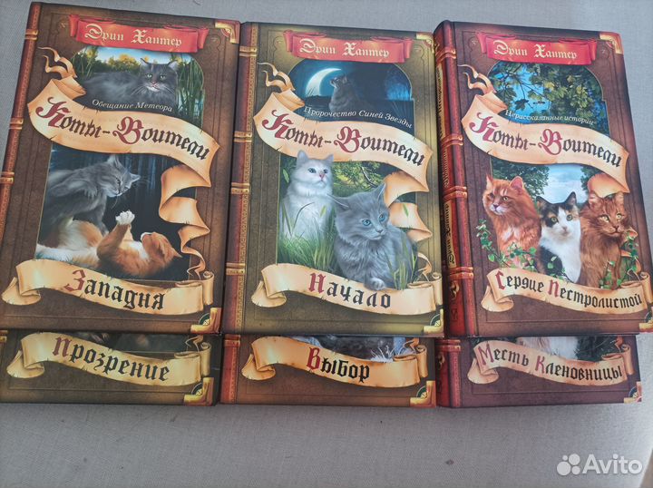 Эрин Хантер коты-воители