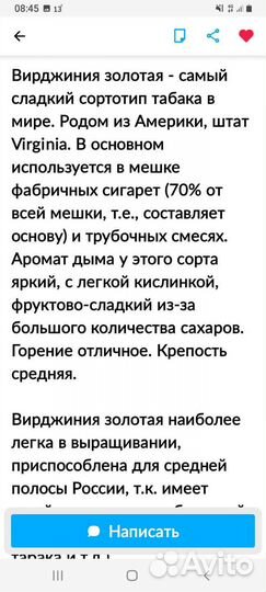 Рассада табака