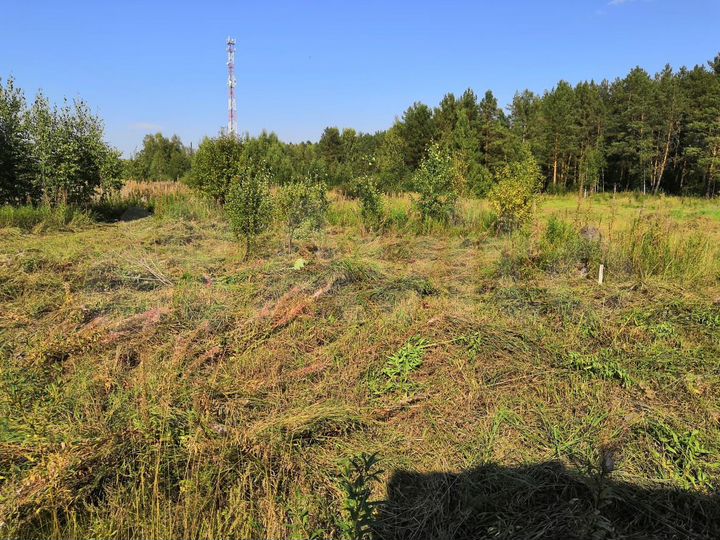 Участок 20 сот. (ИЖС)