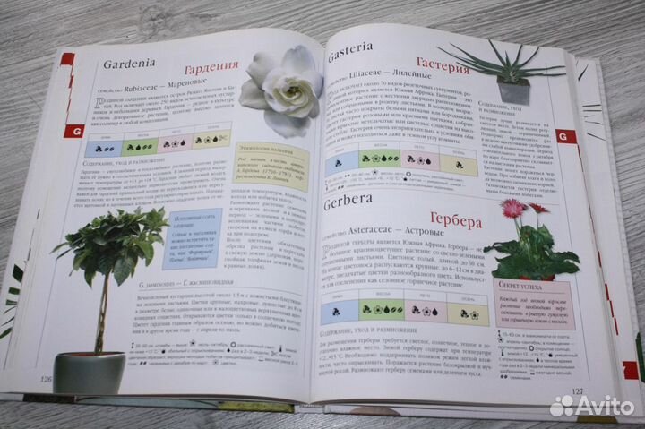 Книга. Библия комнатных растений