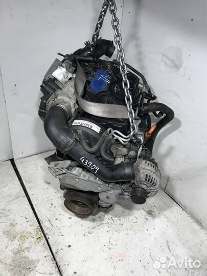 Двигатель Volkswagen Caddy 3 2006 BLS