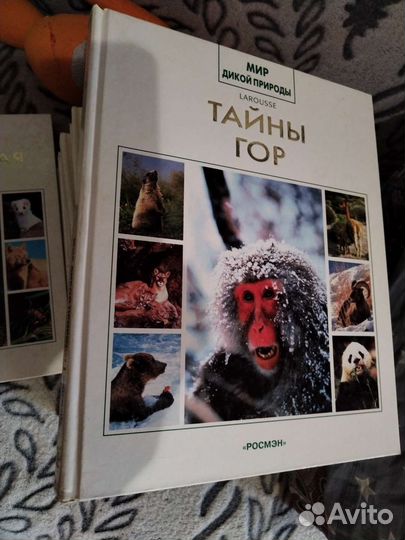 Серия книг, мир дикой природы '' Росмэн