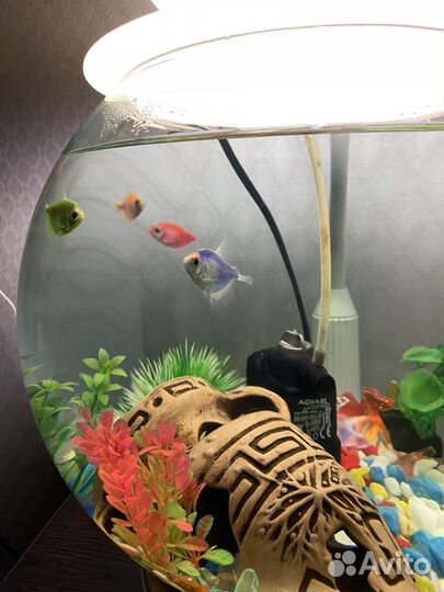 Аквариум с рыбками