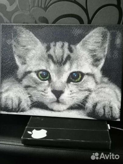 Картина из алмазной мозаики