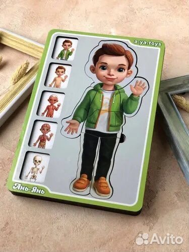 Пазл-сортер Анатомия человека-мальчик