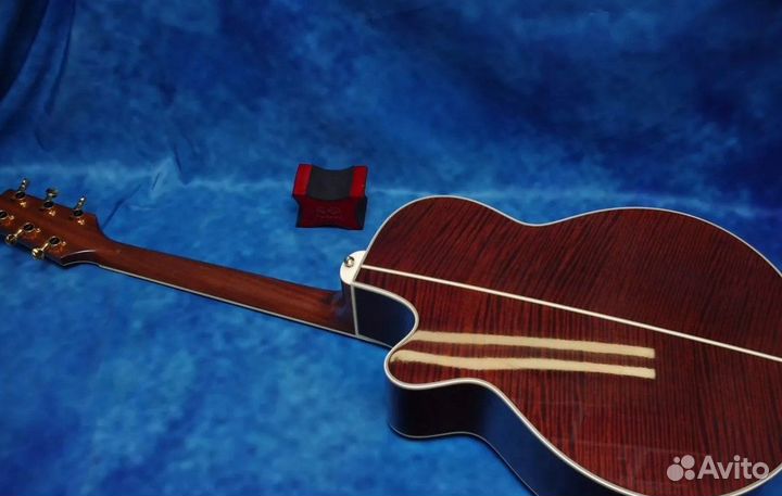 Электроакустика Takamine NPT-110. Japan. Кейс