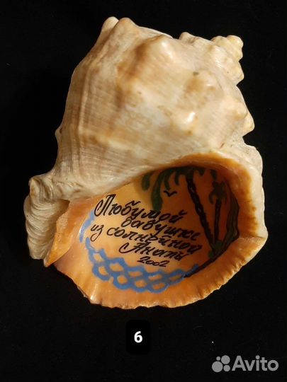 Ракушки морские,наборы д аквариума д творчества