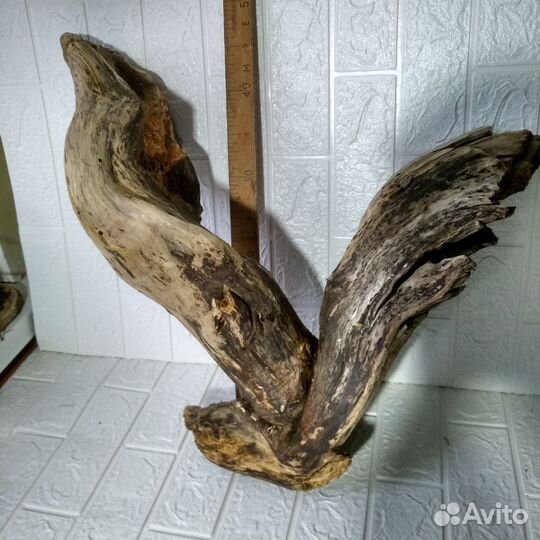 Дрифтвуд коряга
