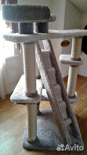 Когтеточка-комплекс