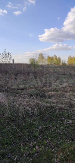 Участок 22 сот. (ИЖС)