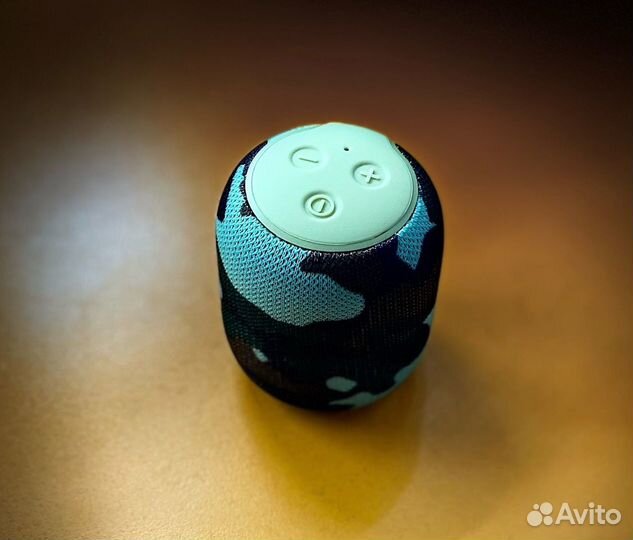 Портативная колонка WS-305 хаки