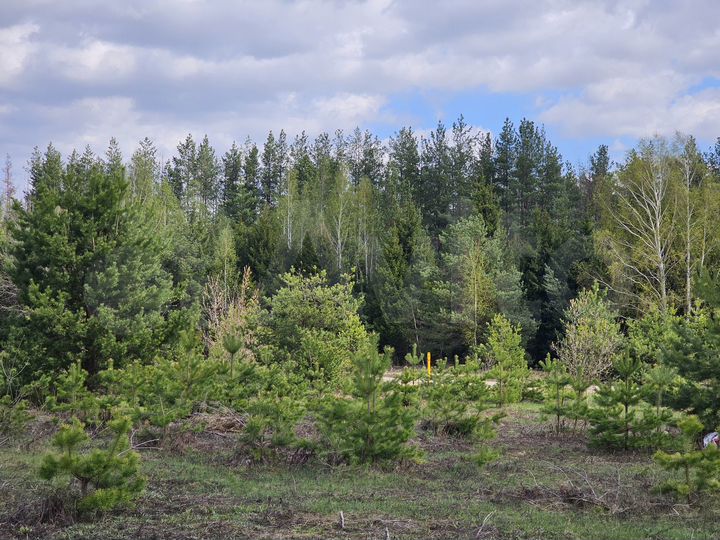 Участок 9,4 сот. (ИЖС)