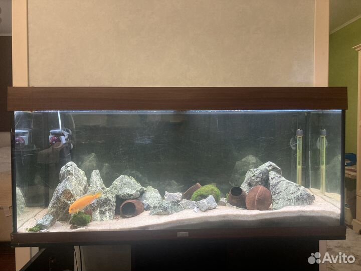 Аквариум Juwel Rio 240 LED + тумба и оборудование