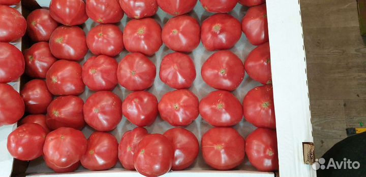 Помидор super вкусные розовые с зелёными семенами