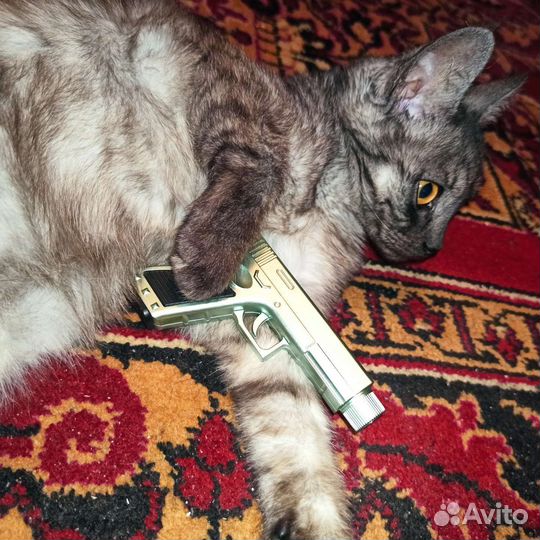 Кошка