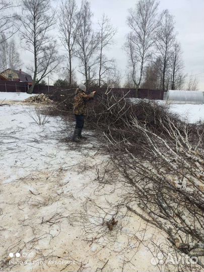 Спил деревьев г. Сергиев Посад