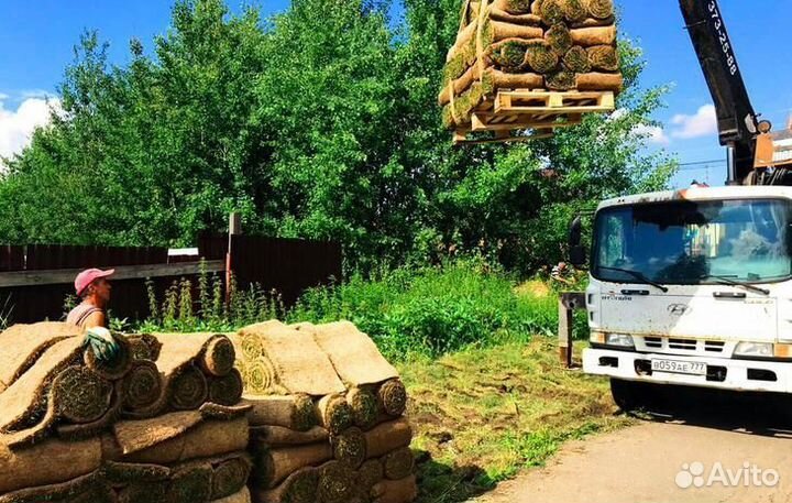 Рулонный газон с бесплатным замером