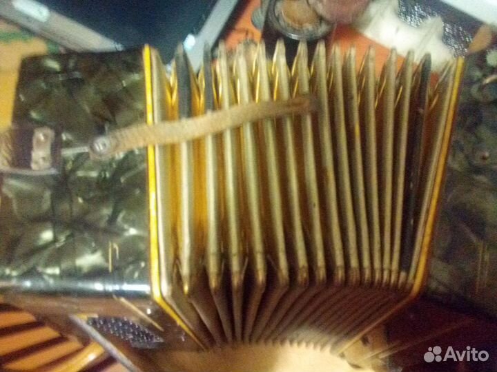 Аккордеон horch