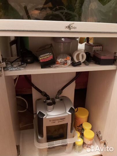 Для Максима Вн. ф JBL CristalProfi e702 greenline