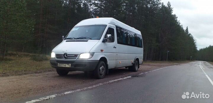 Пассажирские перевозки