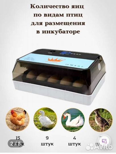 Инкубатор для яиц