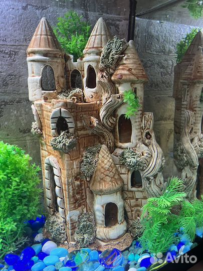 Содержимое аквариума