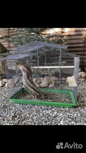 Клетка для грызунов