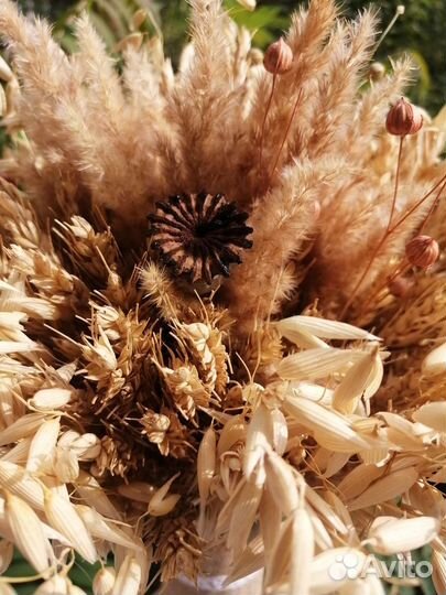 Букет из сухоцветов/декор для дома