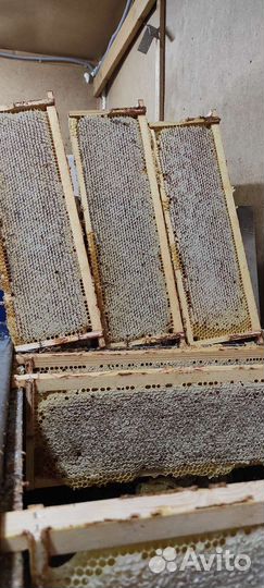 Сотовый мед