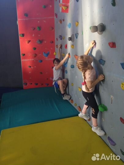 Горные лыжи-ролики-велосипед (тренер/инструктор)