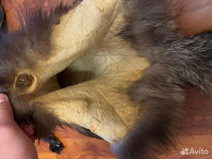 Цельная шкурка чернобурки