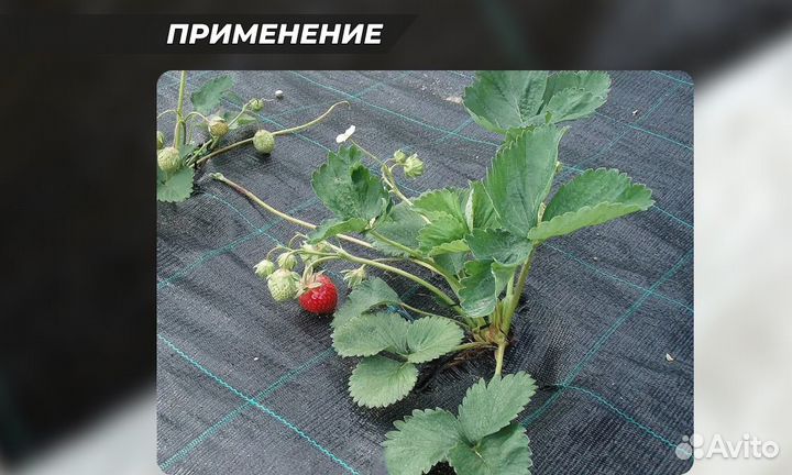 Агроткань почвоукрывной материал 130 гр