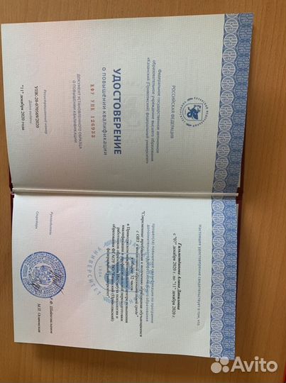 Репетитор по русскому языку и литературе