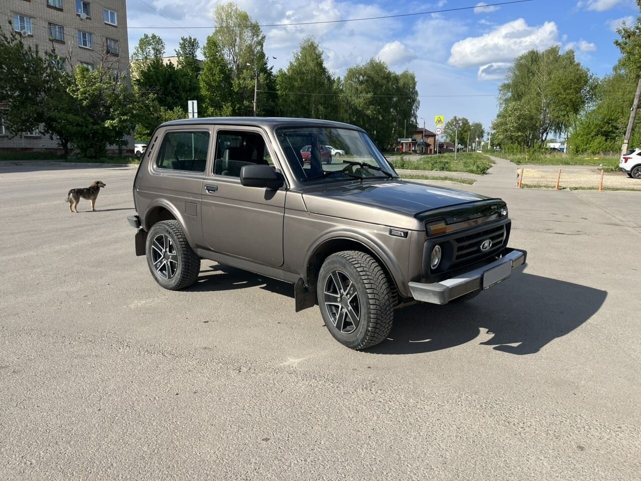 ВАЗ (LADA) 4x4 (Нива): фото владельца