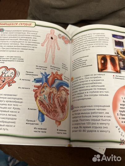 Энциклопедия для детей