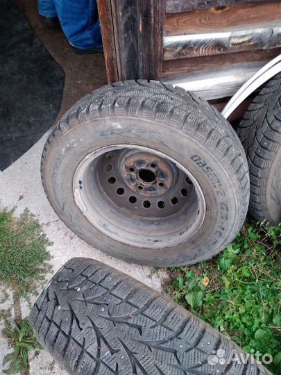 Резина r 13 летние зимняя тоя на toyota штампах