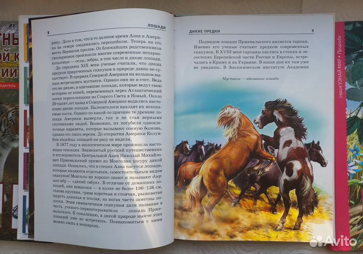 Детские энциклопедии